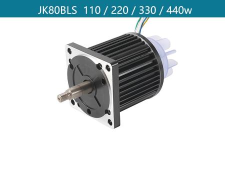 48v bldc motor