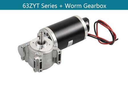 brushed motor with worm gear