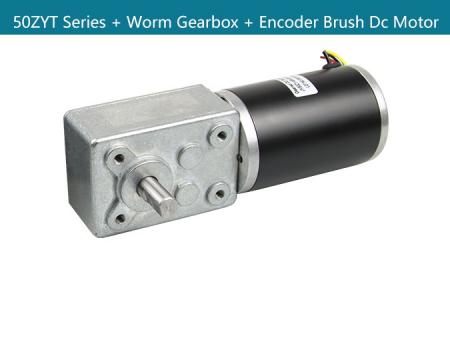 50ZYT Brush dc motor