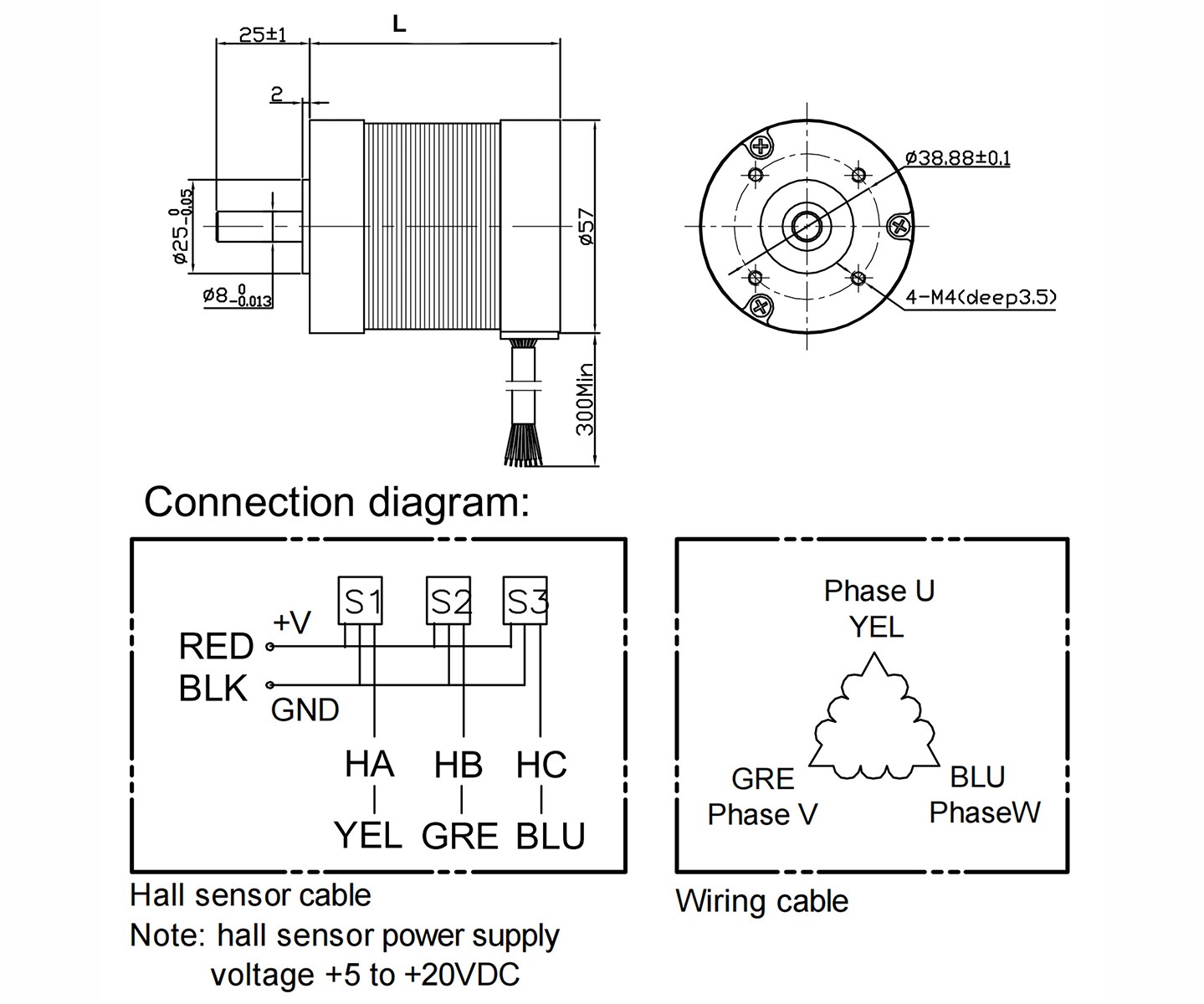 brushless dc motor