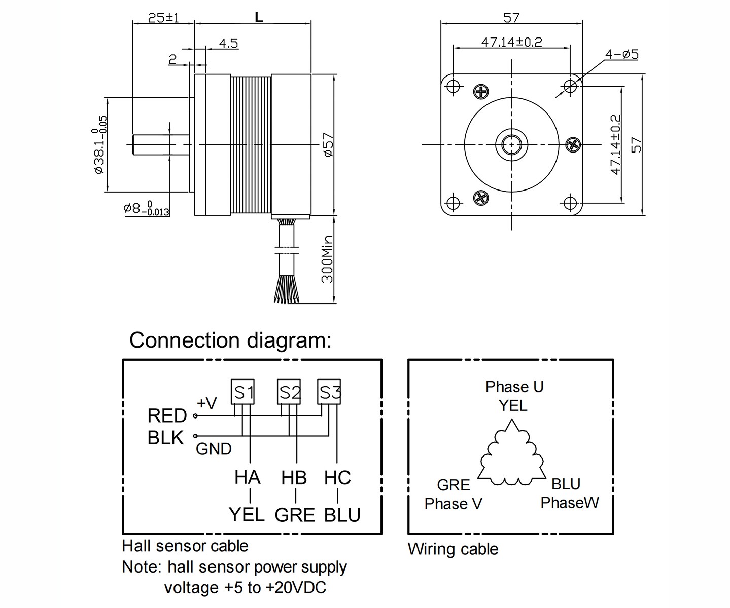 brushless dc motor