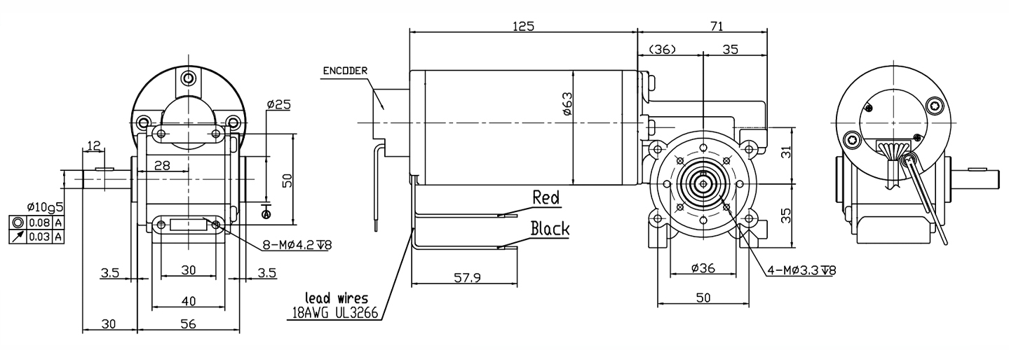 brushed dc motor