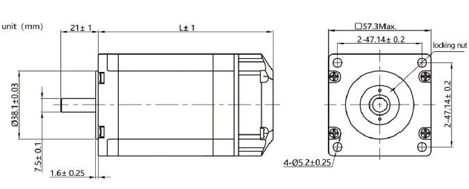 integrated servo motor.jpg