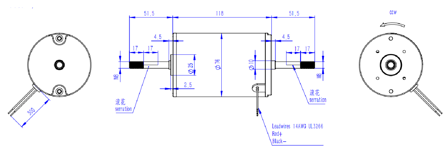 76ZYT dc motor.jpg